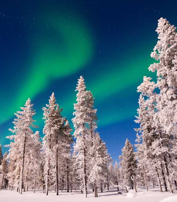 Northern Lights
