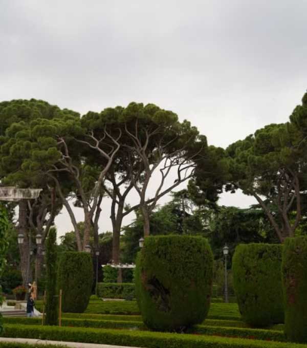 Parque del Retiro