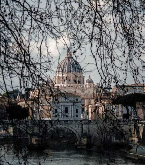 Vatican City Portrait Roma