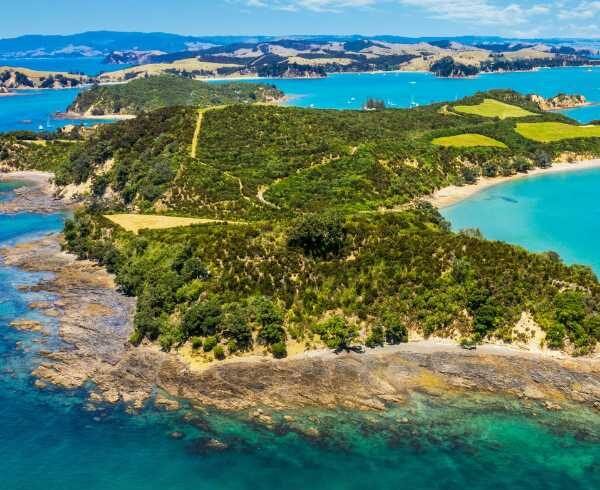 rotoroa island
