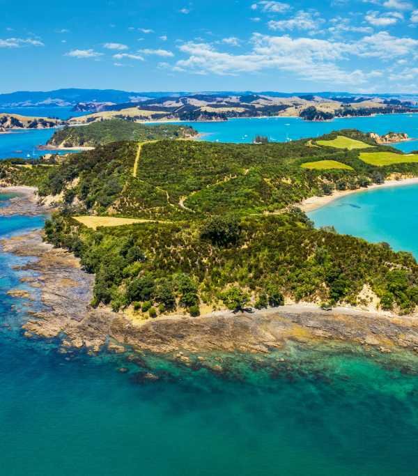 New Zealand Rotoroa Island