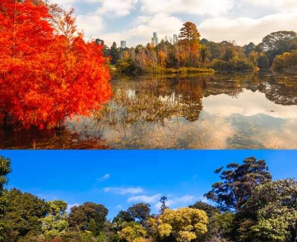 royal botanic gardens victoria