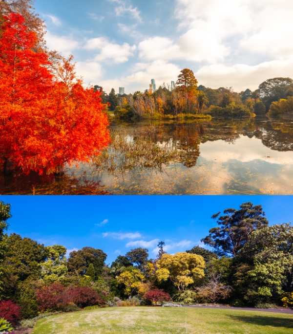 Royal Botanic Gardens Victoria