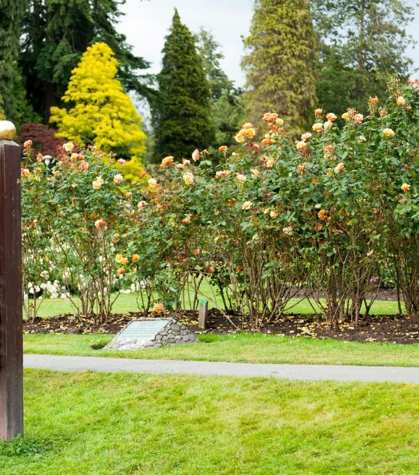 Canada Stanley Park