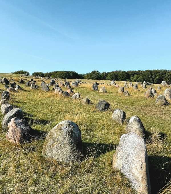 Denmark Vikingemuseet Lindholm Høje - Historic site